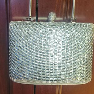 Elegant Silver Evening Clutch